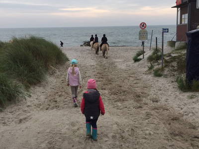 Bild 47 aus  Sonis kleine Farm Grömitz