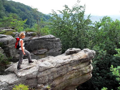 Bild 34 aus  Landgasthaus Hoffmann