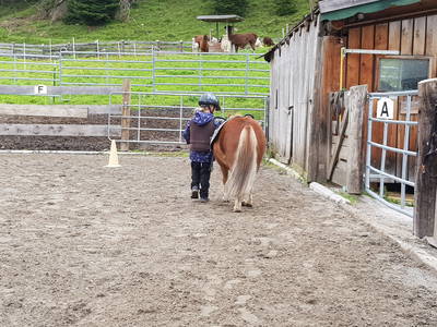 Reitunterricht für klein und groß