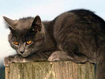 Bild 11 aus  Oberleitenhof