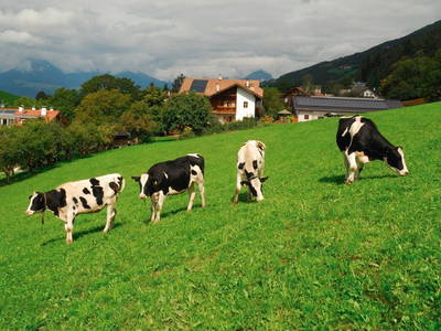 Bild 15 aus  Huberhof