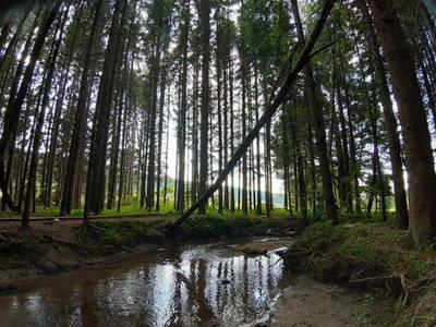 Bild 31 aus  Burgstallhof