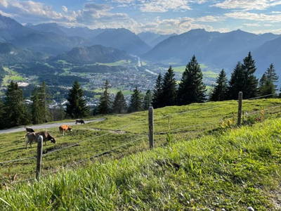 Bild 30 aus  Ferienwohnung Pickenhan