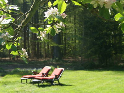 Bild 9 aus  Hof Limbeck