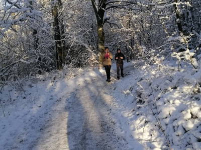 Bild 42 aus  Marienhof