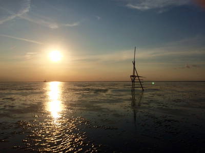 Abendstimmung in Friedrichskoog