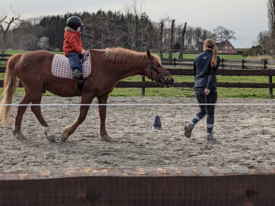 Bild 12 aus  Ferienhof Gellert