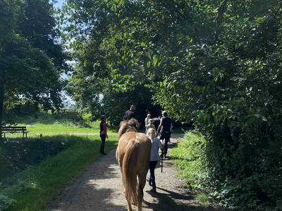 Bild 38 aus  LandSelection Rüsterhof