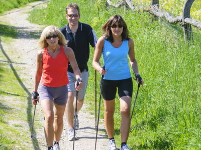 Bild 40 aus  Schlosshof - der Urlaubsbauernhof