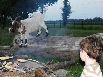 Bild 5 aus  Margarethen-Hof