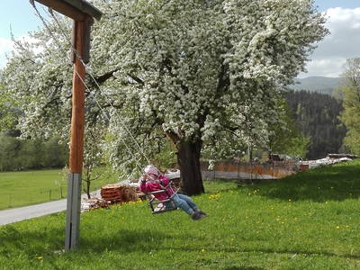 Bild 17 aus  Familienferienhof Kroner