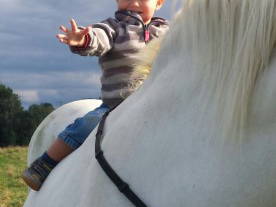 Bild 27 aus  Ferienwohnungen Strobel Eichstegen