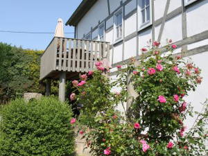 Bild 2 aus  Apartmenthaus Brunnenhof