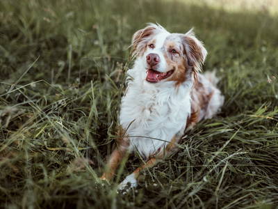 Bild 23 aus  Okelmann's - Eco Hotel & Apartement mitten im Norden