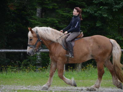 Bild 10 aus  Der Adlerhof