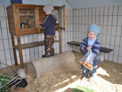 Bild 7 aus  Ferienhof Borchers