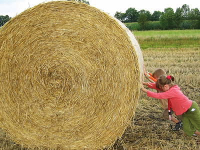 Bild 10 aus  Bauernhofferien Weseloh