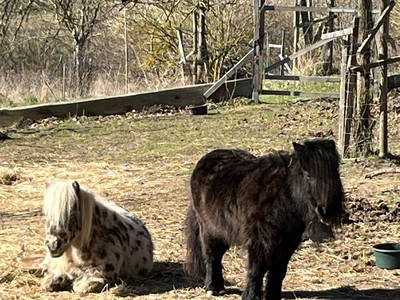 Bild 14 aus  Luminohof