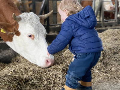 Bild 12 aus  Ökoferienhof Retzbach