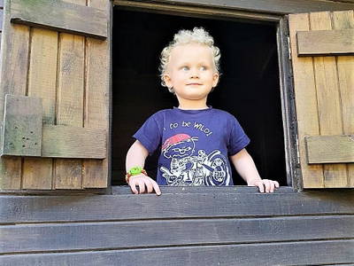 Bild 29 aus  Ferienhof Borchers