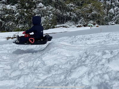 Rodelhang direkt am Hof
