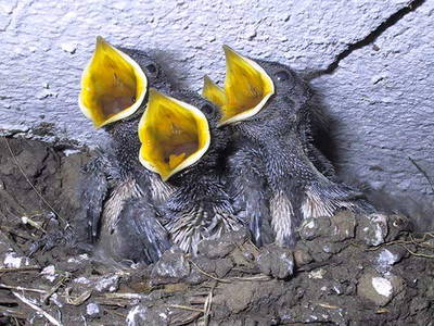 Bild 24 aus  Alte Scheune Krakvitz, Inh. Gisela Stolpe&Peter Hübner