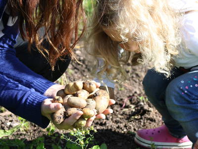 Bild 24 aus  Ferienhof Larrieder Mühle