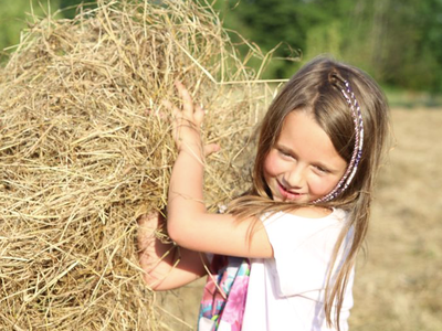 Bild 5 aus  Ferienhof Schmeling