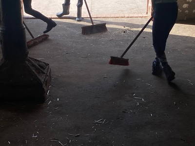 Bild 36 aus  LandSelection Rüsterhof