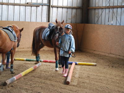 Bild 46 aus  Lindenhof