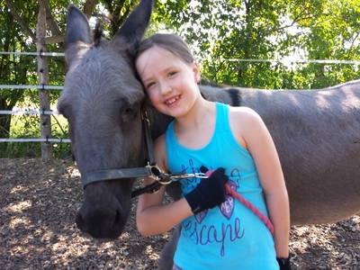 Bild 11 aus  Ferienhof Neudeck