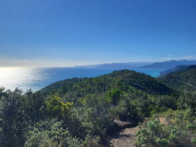 Bild 21 aus  Oliva Azzurra Appartamento