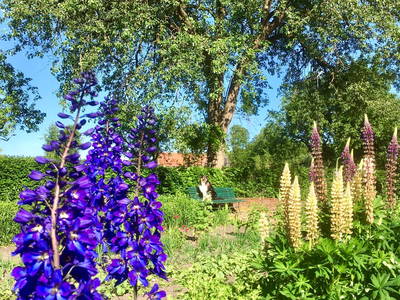 Bild 7 aus  SchleinersHof