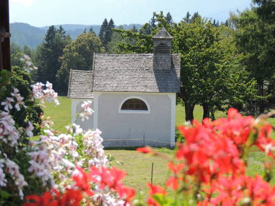 Bild 18 aus  Schadnerhof