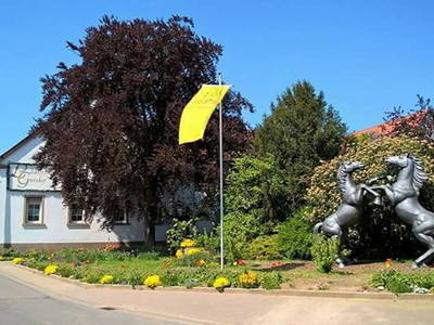 Bild 25 aus  Lautersheimer Gutshof