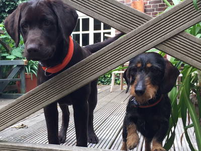 Bild 11 aus  Hof hinterm Deich