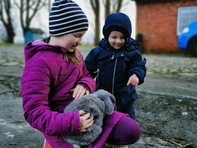 Bild 24 aus  Der Liethshof