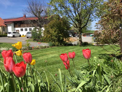 Bild 3 aus  Ferienhof Sennert im Odenwald