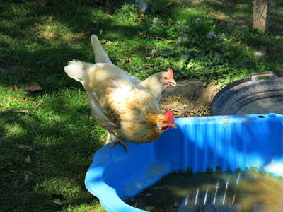 Bild 15 aus  Maison Cheval Blanc