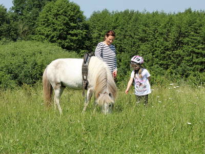 Bild 25 aus  Ponyferienhof