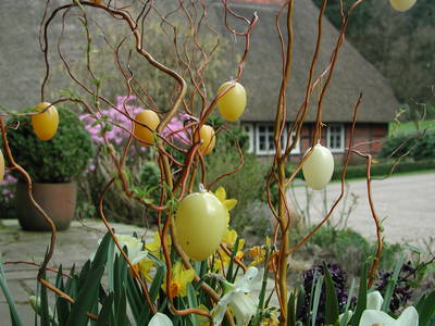 Bild 29 aus  Hof Höpen