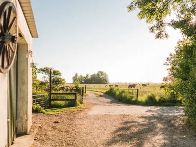 Bild 3 aus  Ferienhof Groth/ Hof Herzleuchten
