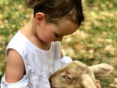 Bild 17 aus  Le Colombié - Ferienhäuser an der Dordogne mieten