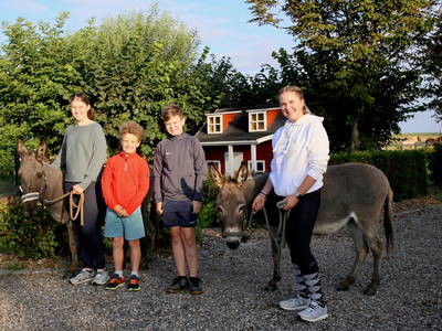 Kindern mit den Eseln vom Hof