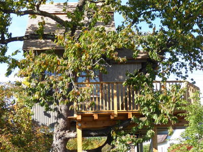 Seitenansicht (3)-Ferienhaus-Baumhaus-Wesertal-Weserbergland