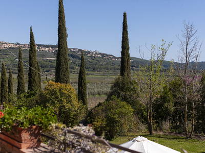 Bild 26 aus  Tenuta Il Cicalino