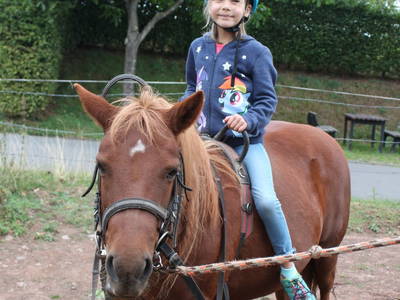 Bild 12 aus  Schmiedshof