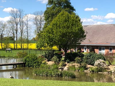 Bild 12 aus  Gut Büchenau  -  Auszeit für Erholungsuchende & Naturliebhaber