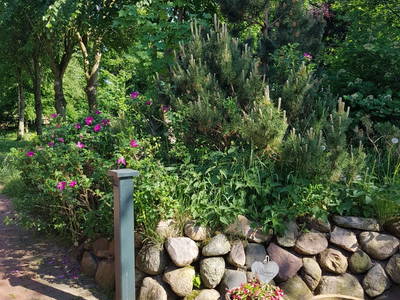 Bild 58 aus  Lindenhof