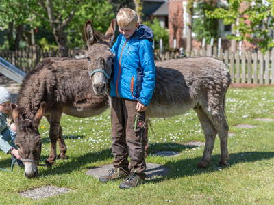 Bild 11 aus  Lindenhof